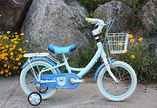 알톤 코렉스 포켓볼 16 16인치 어린이 자전거 보조바퀴 포함
